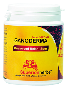 Ganoderma, Duanwood Red Reishi, 100% Spórový prášok
